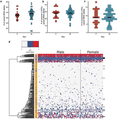 Figure 3. tRNA variation in individuals. Number of tRNA variants per person in males and females for (a) total variants as compared to the reference genome and (b) variants with allele frequencies less than 25% or (c) less than 5% in our sample dataset. The mean number of variants in each set is indicated (black bar). (d) Heat map of the tRNA variation profile for each individual. On the x-axis, males are grouped on the left and females on the right. Each row on the y-axis represents an individual tRNA locus or groups of tRNA where reads could not be uniquely assigned. Groups of tRNAs are denoted by black bars on the right side of the heatmap. The tRNA genes were hierarchically clustered using complete linkage and Euclidean distance. Each tRNA is labelled as either high confidence (orange) or low confidence (purple). tRNAs genes where variation was not observed are not included.