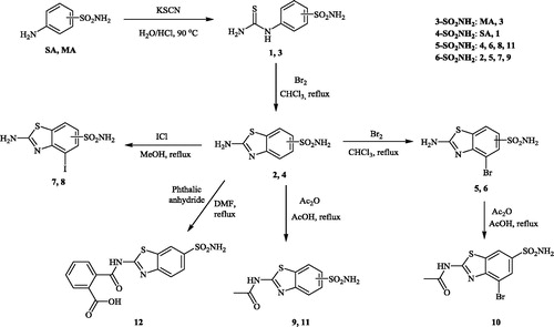 Scheme 1. Preparation of sulfonamides 1–12 investigated in this article, starting from sulfanilamide SA or metanilamide MA.