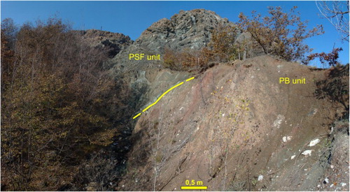 Figure 4. Predominantly poligenic breccias (aquitard, PB unit) at the contacts with the ultramaﬁtes of Mt Prinzera (Case Boscaini complex, Campanian age).