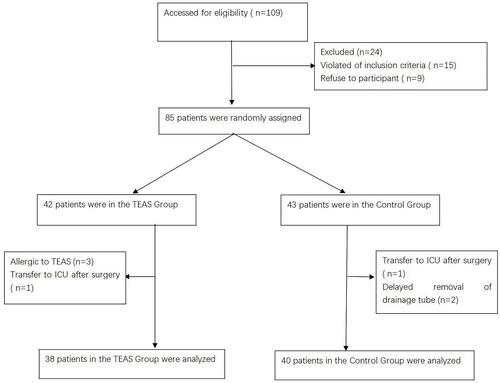 Figure 1 Flow diagram showing the patients that were included and excluded in this study.
