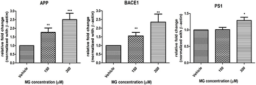 Figure 5 MG altered AD-related markers in DITNC1 cells. Cells were treated with the indicated concentrations of MG for 24 hours and the mRNA expressions were assessed by RT-PCR. APP, BACE-1, PS1 mRNA expression in DITNC1 cells were found significantly elevated. Beta-actin was used as mRNA internal control. Results are presented as means ± SEM, *p< 0.05, **p < 0.01, ***p < 0.001 versus the vehicle control. (n = 6).