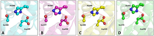 Figure 5 Ball and stick diagram showing catalytic site residues in the PAF-AH enzymes. (A) Leishmania donovani PAF-AH (cyan), (B) Trypanosoma cruzi PAF-AH (magenta), (C) Trypanosoma brucei PAF-AH (yellow), and (D) Homo sapiens PAF-AH (green).
