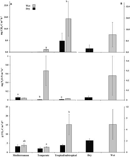 Figure 2. Mean greenhouse gas emissions from soils under different climate and hydrological conditions (A); and mean soil emissions (all climates) under dry-wet conditions (B). Bar charts are standard errors. Bars (±SE) followed different letters in each hydrological condition, showing significant differences at p < 0.05. In this study, soil greenhouse gas emissions during the dry season and after flooding events/from saturated soils are considered dry and wet soil emissions, respectively. Source: Altor and Mitsch (Citation2006); Hernandez and Mitsch (Citation2006); McLain and Martens (Citation2006); Hinshaw and Dahlgren (Citation2016); Audet et al. (Citation2013); Kachenchart et al. (Citation2012); Lopes de Gerenyu et al. (Citation2011) (2015); Batson et al. (Citation2015); Jacinthe et al. (Citation2015); Mander et al. (Citation2015); Vidon et al. (Citation2017); Vidon et al. (Citation2016); Jacinthe and Vidon (Citation2017); Gebremichael et al. (Citation2017); Poblador et al. (Citation2017); Smith et al. (Citation2017); Kaiser et al. (Citation2018); Kandel et al. (Citation2019); Mafa-Attoye et al. (Citation2020); Schindler et al. (Citation2020); Liu et al. (Citation2021); Wang et al. (Citation2021); Mander et al. (Citation2022); Zhang et al. (Citation2022).