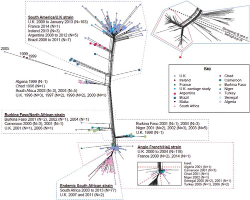 Figure 1. Geo-temporal distribution of isolates within distal sublineages of meningococcal lineage 11.1.The inset (top-right) depicts a cgMLST (1546 loci) neighbor-net phylogenetic network of all 750 geo-temporally diverse cc11 isolates and two non-cc11 isolates (cc8 and cc41/44) highlighting the distal region of lineage 11.1 that bifurcates into two sublineages. Isolates corresponding to this region underwent a separate cgMLST (1546 loci) comparison to generate the neighbor-net network in the main figure. Both sublineages contained several clusters, each relating to a noteworthy episode of MenW disease. One lineage included the strain relating to the Hajj outbreak of 2000 onwards (Anglo-French Hajj strain), the expansion of endemic MenW:cc11 disease in South Africa from 2003 (endemic South African Strain) and a period of MenW:cc11 epidemics in sub-Saharan Africa (Burkina Faso/North African Strains). The other sublineage contained clusters relating to expanding endemic MenW:cc11 disease in South America and the U.K. (the South American/U.K. strain). Dots relate to individual cases. The scale bar indicates the number of loci differing among the 1546 compared. Figure adapted from Figure 3 of Ref. [Citation37] and reprinted from Journal of Infection, Vol 71/Issue 5, J Lucidarme, DM Hill, HB Bratcher, et al. Genomic resolution of an aggressive, widespread, diverse and expanding meningococcal serogroup B, C and W lineagep. 549, 2015, with permission from Elsevier