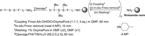 Figure 2. SPPS of H-YSSFL-NH2, a 3-step in-situ protocol using 20% 4-MP in DMF.