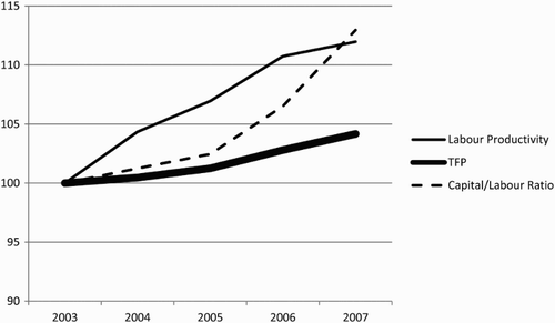 Figure 4: South African indices for labour productivity, total factor productivity and capital/labour ratios