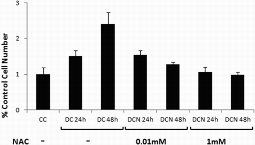 Figure 4. Effect of NAC on 3T3-L1 cells during MCE. Comparison of control cells (CC); MDI cells (DC); MDI + NAC-treated cells (DCN). Cells were harvested at day 1 (DC 24 hours, DCN 24 hours) or at day 2 (DC 48 hours, DCN 48 hours) of the differentiation protocol. The concentration of NAC is shown. Cells were counted and, viable cells were evaluated by trypan blue stain exclusion. Data represent the percentage of CC. Results are the average of four different experiments (mean ± SD).