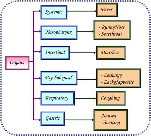 Figure 1. Diagrammatic representation of symptoms of swine flu (H1N1).