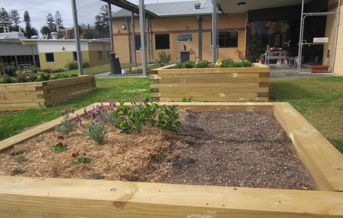 Figure 6. The horticulture project included building raised garden beds