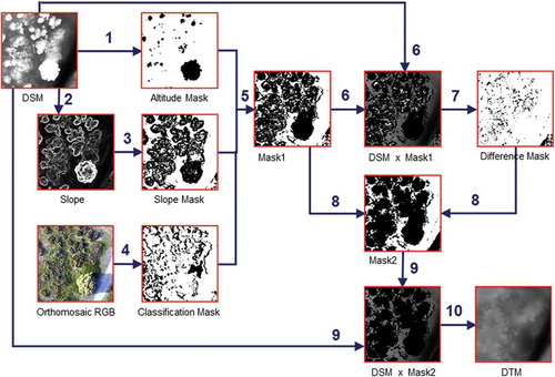 Figure 7. Scheme of the vegetation removal digital processing carried out on the DSM (to obtain the DTM from the dataset generated with the FV-8 system. Numbers indicate specific operations as follows: (1) masking to eliminate values of altitude higher than 2.4 m; (2) topographic modeling to compute slopes with kernel 7 x 7; (3) masking to eliminate values of slope higher than 10o; (4) classification supervised (parallelepiped method) of green vegetation and shadows and masking to eliminate them; (5) multiplication of three masks to combine their effects; (6) product of original DSM by mask1; (7) filtering of minima and masking for the removal of cells that exceed a given value for the DSM; (8) multiplication of two masks to combine their effects (the product include all cells identified like vegetation); (9) multiplication of the original DSM by the vegetation mask; and (10) filling by interpolation using splines (Schweikert, Citation1966) .