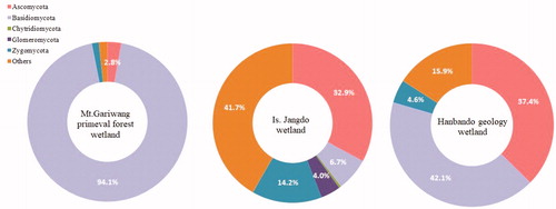 Figure 3. Fungal phyla distribution from each wetland (unit: %). Variance of phyla ratio was characteristic, and the uniqueness of fungal taxa could be expected.