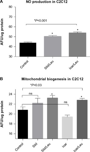 Figure 2 PDE5-inhibitors combined with Leu increases NO production and mitochondrial biogenesis in vitro.
