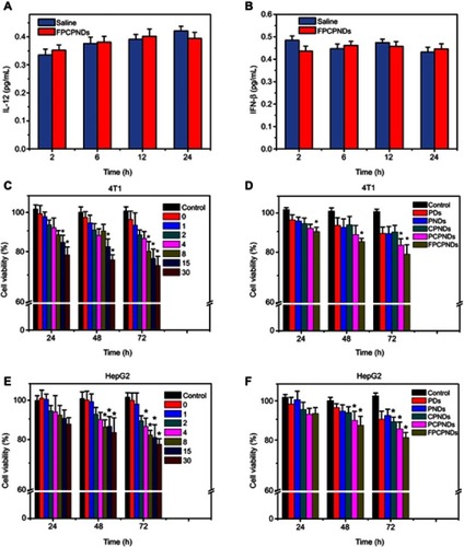 Figure 4 Evaluation of immunogenicity in vivo and cytotoxicity in vitro. The content change of (A) IL-12 and (B) IFN-β in mice after injected with FPCPNDs (N/P=15). In vitro cytotoxicity study of (C, E) FPCPNDs at different N/P ratios, and (D, F) different formulations at an N/P ratio of 15 against HepG2 and 4T1 cells by MTT assay. *P<0.05. Abbreviations: FPCPNDs, FA-PEG-CCTS/PEI/NLS/pDNA; PND, PEI/NLS/pDNA; PDs, PEI/pDNA; PCPNDs, PEG-CCTS/PEI/NLS/pDNA; CPNDs, CCTS/PEI/NLS/pDNA; FA, folate acid; PEG, polyethylene glycol; CCTS, carboxylated chitosan; PEI, polyethyleneimine; NLS, nuclear localization sequences; IFN-β, interferon-β.