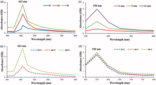 Figure 2. UV-visual spectrophotometry indicated the synthesis of Aa-AuNPs and Aa-AgNPs. For the synthesis of Aa-AgNPs incubation for 4 h (a) at 80 °C (b) gave the best results, while for Aa-AuNPs synthesis the optimal conditions were at for 12 min (c) incubation at room temperature (d).