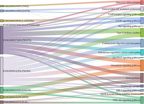 Figure 8 Enriched mRNA transcript genes in the KEGG pathways most likely involved in T2DM. The graph was generated using Origin Pro 2023 (OriginLab, Northampton, MA, USA).