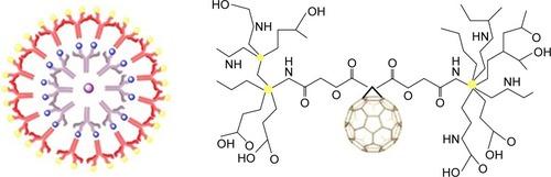 Figure 29 Structure of dendrimers.Note: Data from Brettreich and Hirsch.Citation132