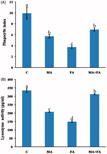 Figure 2. Effect of treatment on WBC parameters. (A) Phagocytic index. (B) Lysozyme activity. The values shown are the means ± SE (n = 5). Bars with different letters significantly differ from one another (p < 0.05).