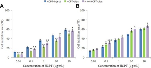 Figure 4 In vitro cytotoxicity of HCPT-Inject, HCPT-Lips, or NK4-HCPT-Lips on HepG2 cell for 24 hrs (A) and 48 hrs (B), respectively (n=3).Notes: *p<0.05, **p<0.01 vs HCPT-Inject; #p<0.05, ##p<0.01 vs HCPT-Lips. Data presented as mean ± standard deviation (n=3).Abbreviations: HCPT-Lips, Hydroxycamptothecin liposomes; NK4-HCPT-Lips, NK4-modified hydroxycamptothecin liposomes.