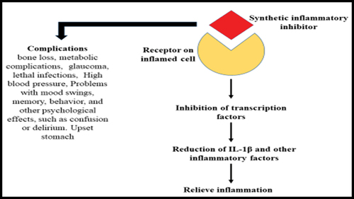 Scheme 2. Inhibition of IL-1β by synthetic inhibitors.