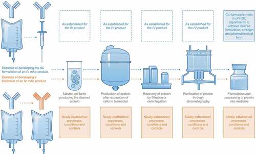 Figure 1. Schematic depiction of manufacturing changes that are required to develop an established IV product into an SC product (upper part) vs. the de novo set up of a manufacturing process for a biosimilar of an established IV product (lower part).