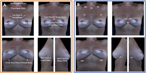 Figure 1. (A) Anatomical landmarks used for bra fitting. (B) Anatomical fiducial points used in the clinical bra measurements. MPP: most projecting point; TP: transition point; MC: mid-clavicle; SN: sternal notch; MP: medial point; M: midline; IMF: inframammary fold; LP: lateral point.