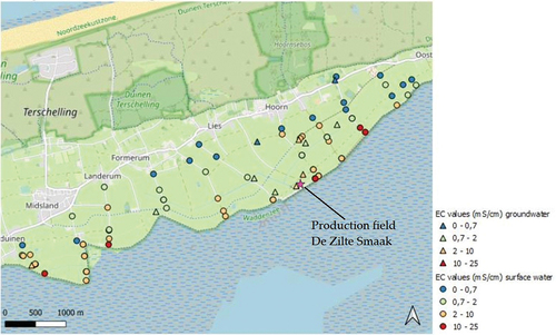 Figure 1. ECe levels of the topsoil and EC levels of surface waters in mS/cm in the agricultural fields on the south coast of the Island of Terschelling, the Netherlands, adapted with permission from Janson (Citation2021). The light green area is a polder with controlled water levels. The level of the grassland is at or just below sea level. It is protected from high tides and storm surges by a dike with top level of some 6 meters above mean sea level (Koster, Citation1993). The field of De Zilte Smaak is located on a small plot in this polder, right along the dike.
