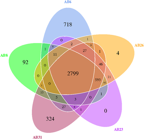 Figure 1. Venn diagram of different genes detected in all 5 isolates.