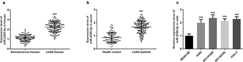 Figure 1. The expression level of miR-2355-3p in LUAD tissues, serum, and cells measured by qRT-PCR. (a). miR-2355-3p expression was relatively higher in LUAD tissues compared with non-cancerous tissues. (***P < 0.001). (b). miR-2355-3p expression was relatively higher in LUAD patient serums compared with healthy controls. (***P < 0.001). c) miR-2355-3p expression was relatively higher in CC cells compared with normal cells. (***P < 0.001)