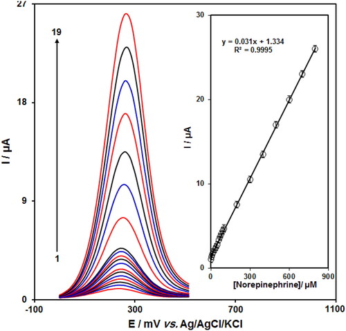 Figure 5. DPV responses at CeO2/ZnO/GCE in 0.1 M PBS (pH = 7.0) with different concentrations of norepinephrine (1: 0.5 µM, 2: 5.0 µM, 3: 10.0 µM, 4: 20.0 µM, 5: 30.0 µM, 6: 40.0 µM, 7: 50.0 µM, 8: 60.0 µM, 9: 70.0 µM, 10: 80.0 µM, 11: 90.0 µM, 12: 100.0 µM, 13: 200.0 µM, 14: 300.0 µM, 15: 400.0 µM, 16: 500.0 µM, 17: 600.0 µM, 18: 700.0 µM, and 19: 800.0 µM); Inset: A linear plot for oxidation current response of norepinephrine vs. its concentrations.