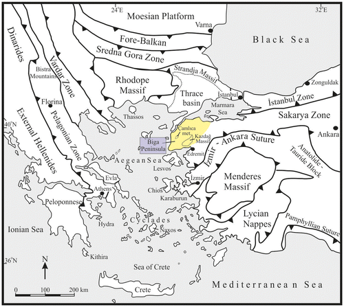 Figure 1. Simplified tectonic map of the Eastern Mediterranean region indicating the major geotectonic units and the bounding sutures (modified from Meinhold, Kostopoulos, Frei, Himmerkus, & Reischmann, Citation2010; Okay et al., Citation2006).