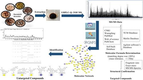 Figure 2. Dayuanyin decoction constituent identification strategy.