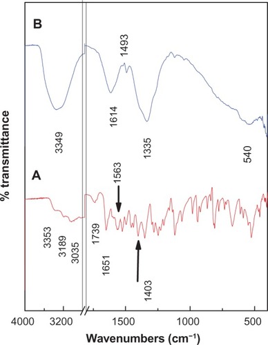 Figure 3 Fourier transform infrared spectra of free levodopa (A) and levodopa-Zn/Al-layered double hydroxide nanocomposite (B).