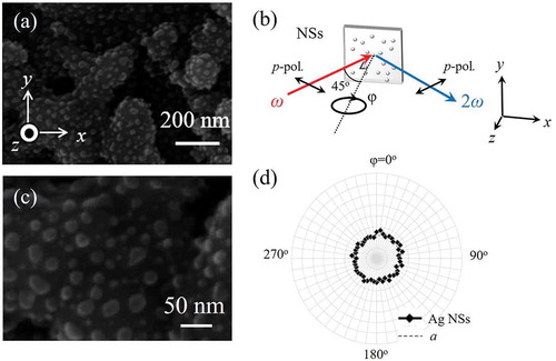 Figure 9. Nanostructural effects on the SHG intensity pattern. (a) The SEM image of the surface of a Ag NS sample, and (b) the expanding image. (c) Configuration of the NSs in the SHG intensity measurement. (d) The SHG intensity pattern of the NSs as a function of the sample rotation angle φ. The data points are connected by lines to guide the eye. The dotted circle shows the isotropic intensity pattern formed by averaged intensity.