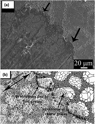 Figure 31. (a) SEM micrograph of the wear scar after fretting wear, and (b) schematic showing mechanism of wear, in the harmonic structure stainless steel.