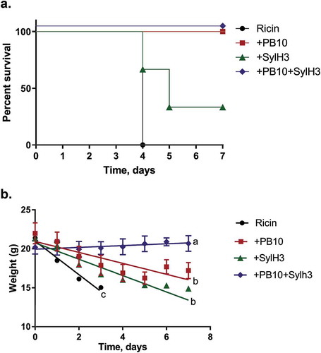 Figure 1. Protection afforded by PB10, SylH3 and the PB10/SylH3 cocktail against intranasal ricin exposure in a mouse model. Groups of adult BALB/c mice were challenged IN with ricin (2 µg/mouse; equivalent to 10xLD50) or ricin plus anti-ricin MAbs (40 µg; 2 mg/kg). (a) Kaplan-Meier plot of mouse survival over period of 7 days for following challenge. Overlapping lines in the graph were nudged slightly to differentiate symbols that would otherwise be superimposed on each other. (b) Change in body weights over a 7 day period following ricin exposure. Linear regression analysis was used to examine the relationship between weight and treatment at times post-ricin challenge. Slopes were compared via ANOVA with Tukey’s multiple comparisons test. Different letters indicate statistically significant differences determined by the test. The data are from two independent experiments with three mice per group.