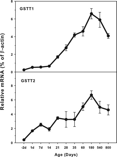 Figure 3. Age-related expression of GSTT1and GSTT2 in livers of rats. Livers from male SD rats at the fetus (−2 d before birth), the neonatal stage (1, 7, 14 and 21 d after birth), at puberty (28 and 35 d), at adult (60 and 180 d), and at aging (540 and 800 d), were collected to extract RNA. Expression of GSTT1 and GSTT3 was determined by real-time RT-PCR (n = 6 for each time point).