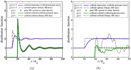 Figure 10. Site–site pair radial distribution functions in (a) the colloid-rich and (b) the polymer-rich phases for the colloid–polymer system with a size ratio of σc/σm = 20 and polymer length m p = 100 at the reduced pressure P* = 10, compared with those for equivalent HS systems at the same density. Broken curves represent binary HS mixtures of the same density and (segment) composition as the phase (i.e., comprising the same numbers of HS colloids and (unconnected) HS polymer monomer segments; see text for details). The continuous curves represent the colloid–polymer systems; the green curves indicate colloid–colloid g cc(r) (reproduced from Figure 7) and the violet curves indicate colloid–monomer g cm(r). For clarity, the curves representing g cm(r) are shifted up by unity. The filled grey circles indicate g HS (r) of a pure (one-component) system of HSs of diameter σ c at the same packing fraction, ηtotal, of the phase.