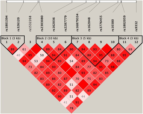 Figure 1. Linkage disequilibrium tests for maternal MTRR gene polymorphisms between CHD group and control group.