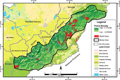 Figure 7. Burnt areas and fire spreading patterns in the study area. Forest density was based on NDVI.