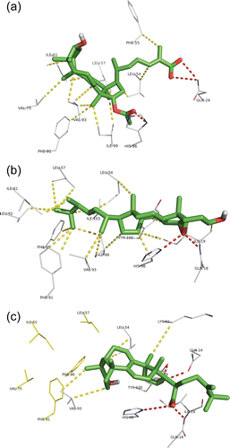 Figure 3.  Docking conformation of the top ranked LMW mushroom compounds in the Mdm2 interaction site: (a) ganoderic acid X, (b) 5,6-epoxy-24(R)-methylcholesta-7,22-dien-3β-ol and (c) polyporenic acid C. All the compounds are represented in green sticks and balls representation. The Mdm2 residues from the interaction site interacting with the compounds are represented in white wire representation. Hydrogen bonds are represented in traced red (bond distances between 2.8 and 3.2 Å), hydrophobic interactions in traced yellow (bond distances between 3.5 and 4 Å).