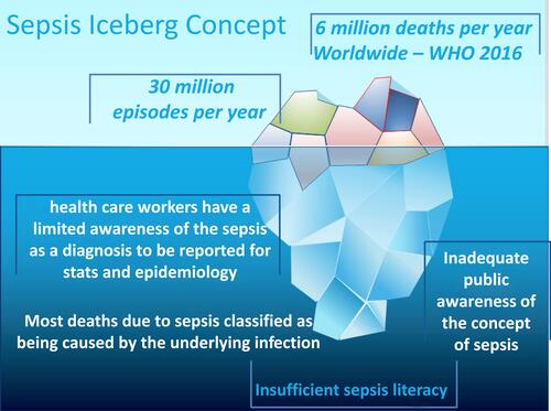 Figure 1 According to the Iceberg model of health and disease, what we see of illness and health, and what we know as events and deaths due to sepsis is only the tip of an iceberg. Looking below the surface, much alike icebergs that reveal only about one-tenth of their mass above the water and the other nine-tenths remains submerged, we can see that most diagnosis of sepsis are hidden in the official statistics. This is due to several causes, including inadequate public literacy without awareness of the sepsis concept. Therefore, official reports of the cause of illness or death refer only to the most likely definition of its causative infection or factor and not as “sepsis” itself.
