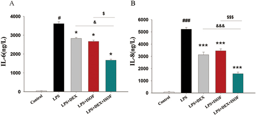 Figure 4 Effects of ISOF and DEX on IL-6 and IL-8 levels in lung tissue of ALI mice. (A) IL-6 level determined by ELISA. (B) IL-8 level determined by ELISA. LPS 5 mg/kg, ISOF 10 mg/kg, DEX 5 mg/kg. Compared with control group #P<0.05, ###P<0.001. Compared with LPS group, *P<0.05, ***P<0.001. Compared with LPS+DEX group, and P<0.05, and P<0.01; compared with LPS+ISOF group, $P<0.05, $$$P<0.01 (n=4). Compared by one-way analysis of variance or Kruskal–Wallis or one-way analysis of variance on ranks followed by Student–Newman–Keuls test.