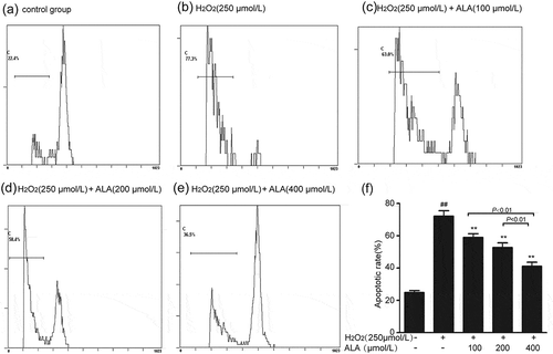 Figure 5. Cell apoptotic rate evaluation by flow cytometry. HUVECs were exposed to H2O2 (250 μmol/L) while treated with or without ALA (100, 200, 400 μmol/L) for 48 h. The apoptosis rate was detected by flow cytometry. (a) Control group. (b) H2O2 (250 μmol/L) group. (c) ALA (100 μmol/L) group. (d) ALA (200 μmol/L) group. © ALA (400 μmol/L) group. (f) The mean ± SEM percentage of apoptotic cells of three individual experiments. ##P < 0.01 vs control, **P < 0.01 vs model.