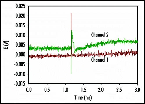 Figure 3 Electrical signaling in the lower part of the leaf of Venus Flytrap two minutes after closing of upper leaf induced by a peace of gelatin. Distance between electrodes on each channel was 1 cm, distance between two channels was 2 cm. The frequency of scanning was 200,000 samples per second.