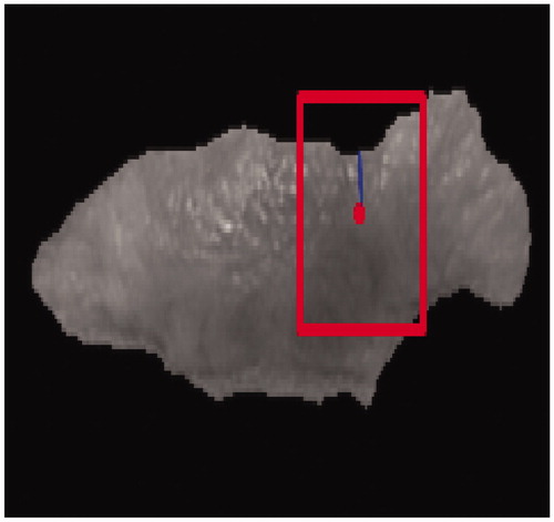 Figure 4. Example of height map generation with automated algorithm.