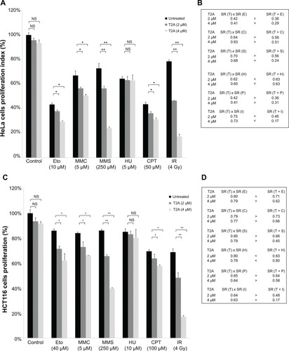 Figure 6 Effects of T2A on genotoxic potential of chemical agents and ionizing radiation in HeLa and HCT116 cells.