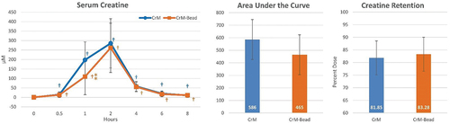 Figure 1. Serum creatine, the area under the curve, and whole-body creatine retention data. Data are means and ± 95% confidence intervals. ⁑ = p > 0.05 to p < 0.10 difference between treatments. † = p < 0.05 difference from baseline value.