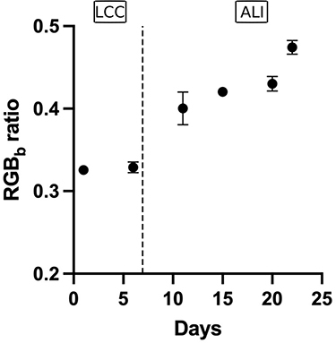 Figure 5 +RGBb as a function of the culture duration (mean ± SD, n=3). LCC = liquid-covered culture and ALI = air-liquid interface cultivation. +RGBb (Red-Green-Blue) ratio corresponding to the average value over the whole picture of the blue component was then divided by the sum of the three channels.