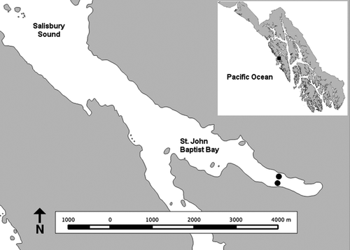 FIGURE 1. Map of study area in St. John Baptist Bay (SJBB), Baranof Island, Alaska. Gray-shaded areas represent land; black dots represent the locations of acoustic receivers at the head of SJBB. The inset map depicts the location of the study area (black square) within Southeast Alaska.