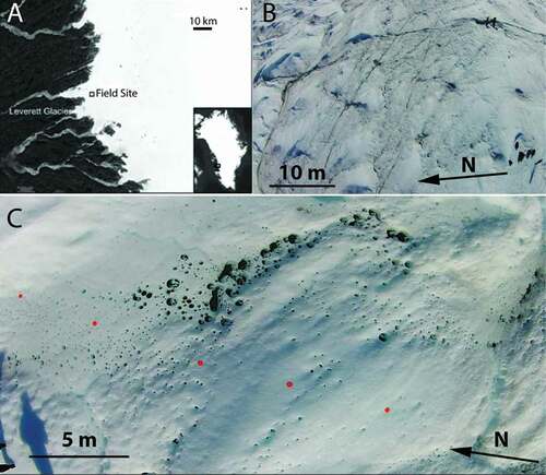 Figure 1. (A) Map of southern west Greenland with the field site marked with a black square. (B) Aerial photograph of the field site with three persons plus rucksacks for scale. (C) Example aerial image from our UAV footage with orange scale markers (90 mm diameter) visible